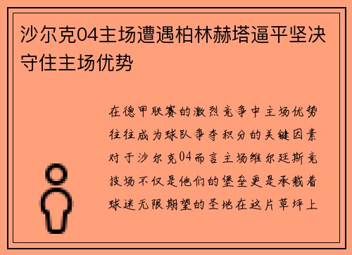 沙尔克04主场遭遇柏林赫塔逼平坚决守住主场优势